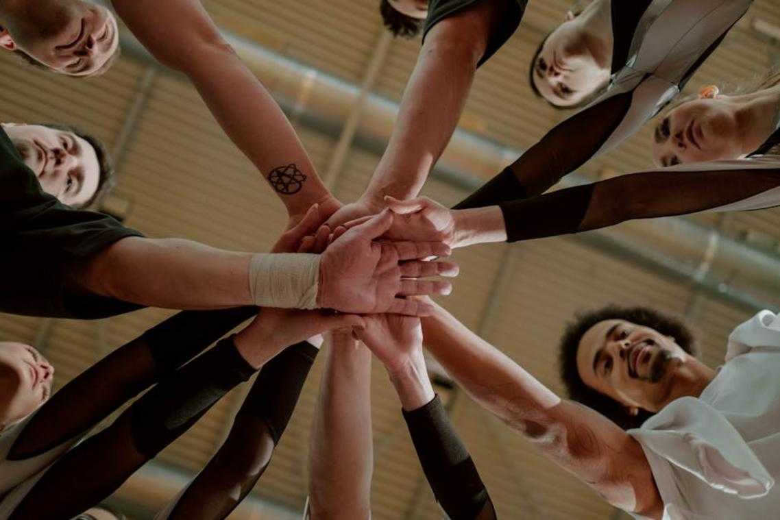 Team Synergy